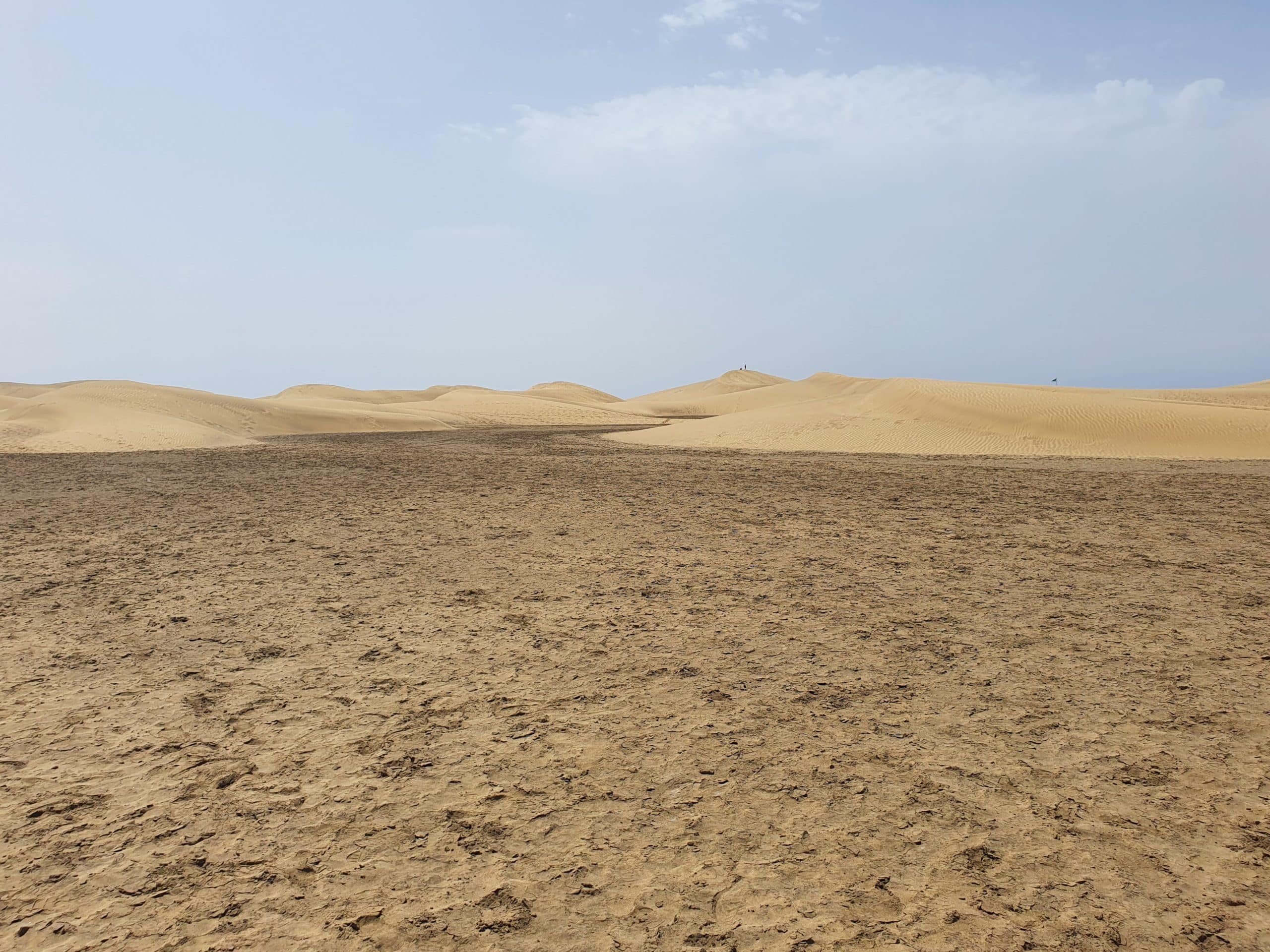 Landscape of sand dunes